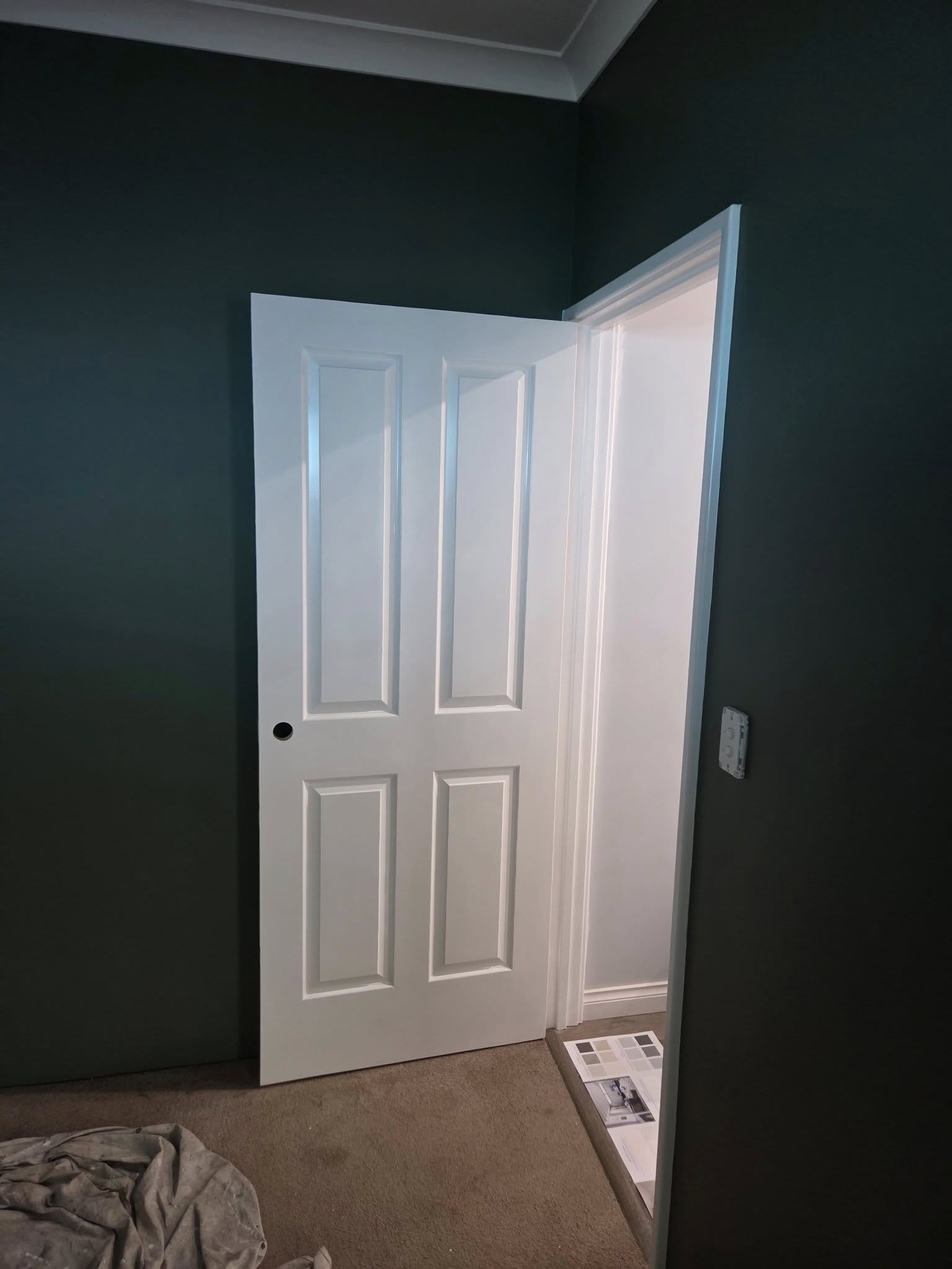 Dark moody room with white door contrast